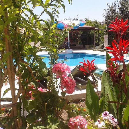 Paradise Garden Gumusluk Evleri Aparthotel Exterior foto